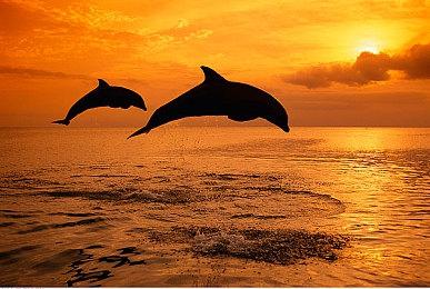 TGA 2022：《魔咒之地》新预告 试玩Demo现已上线PSN商店